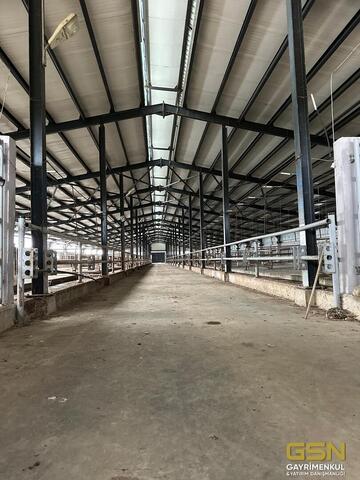 22-GSN GAYRİMENKUL'DEN AVRUPA STANDARTLARINDA RUHSATLI BESİÇİFTLİĞİ